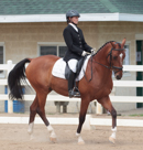 Dressage at Delaware